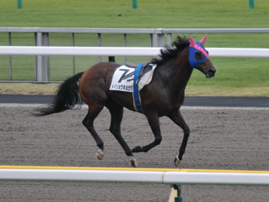 2022/10/10 東京04R