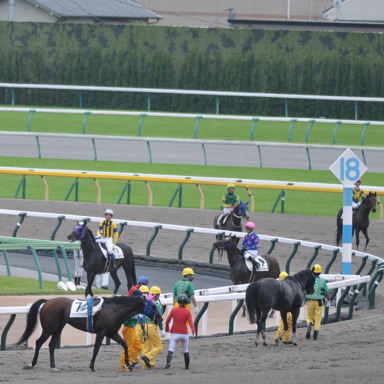 2022/10/10 東京04R