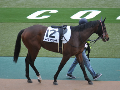 2022/02/05 東京08R