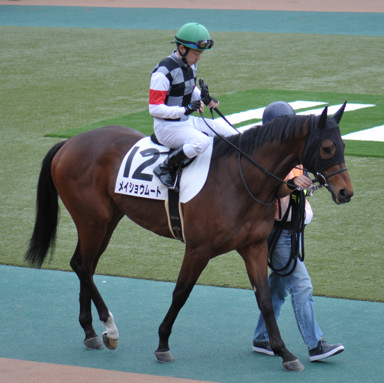 2022/02/05 東京08R
