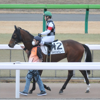 2022/02/05 東京08R