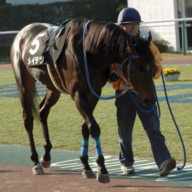 2005/12/25 中京10R