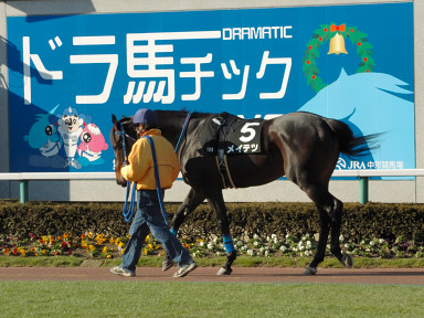 2005/12/25 中京10R