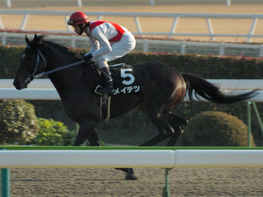 2005/12/25 中京10R