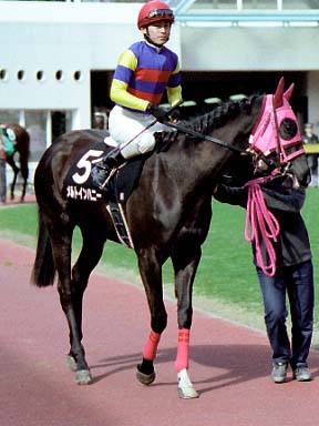 2003/03/08 中山09R