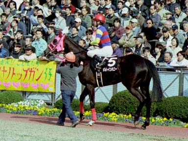 2003/03/08 中山09R