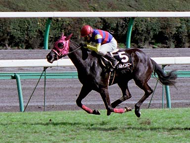 2003/03/08 中山09R