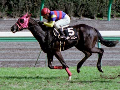 2003/03/08 中山09R