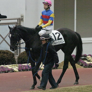 2004/01/24 中山12R