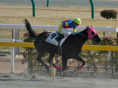 2005/02/12 東京07R
