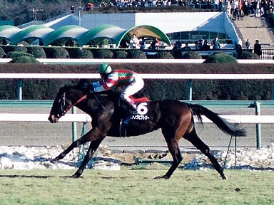 1998/01/25 中山09R