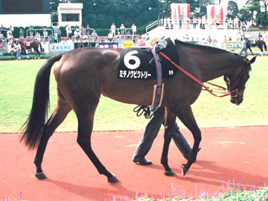 1998/10/03 中山09R