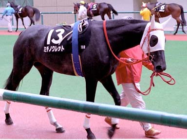 2003/11/09 福島10R