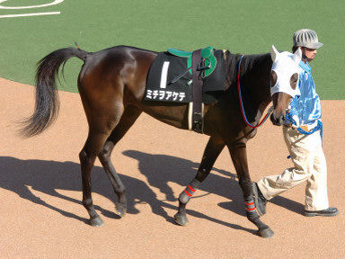 2004/10/17 東京09R