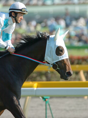 2004/10/17 東京09R