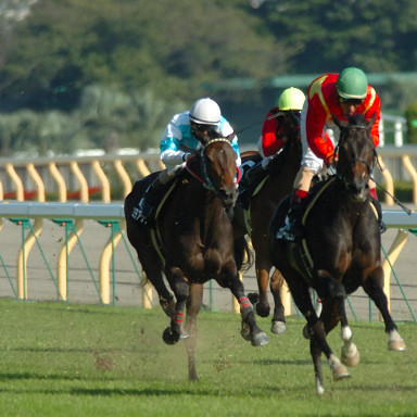 2004/10/17 東京09R