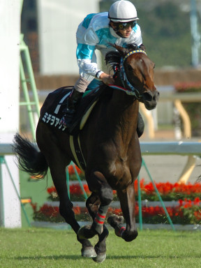 2004/10/17 東京09R