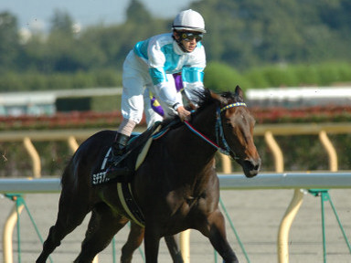 2004/10/17 東京09R