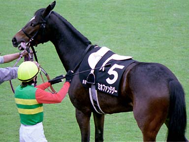 2001/10/21 東京09R