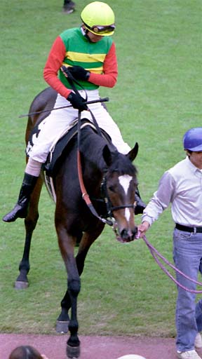 2001/10/21 東京09R