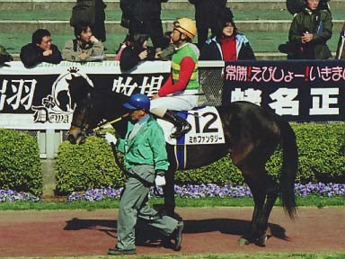 2002/02/02 東京05R