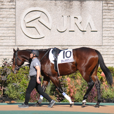2022/11/06 東京07R