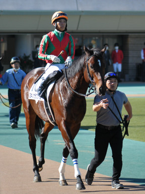 2022/11/06 東京07R