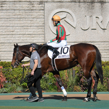 2022/11/06 東京07R