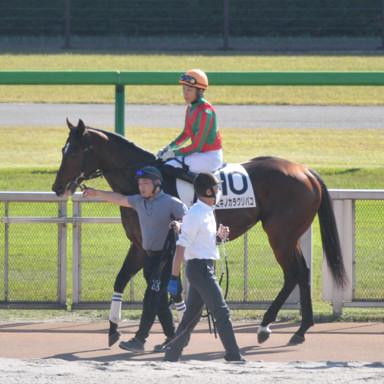 2022/11/06 東京07R