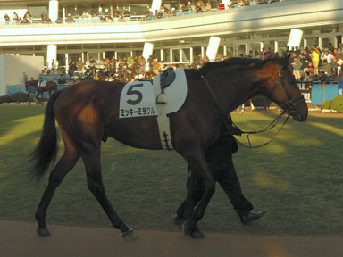 2010/01/10 ���R12R