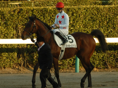 2010/01/10 ���R12R