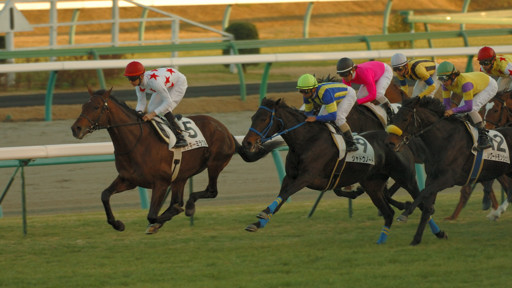 2010/01/10 ���R12R