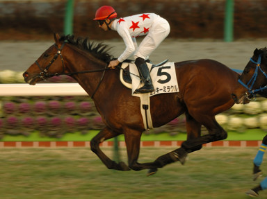 2010/01/10 ���R12R