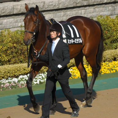 2010/02/20 ����09R