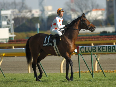 2010/02/20 ����09R