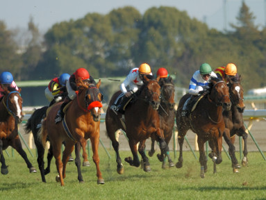 2010/02/20 ����09R