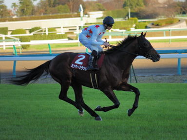 2010/12/04 ���R11R