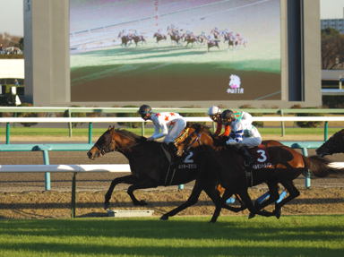 2010/12/04 ���R11R