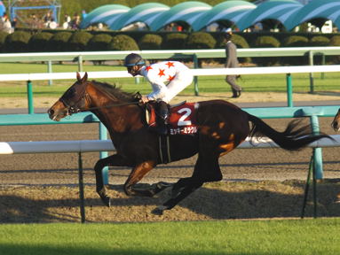 2010/12/04 ���R11R