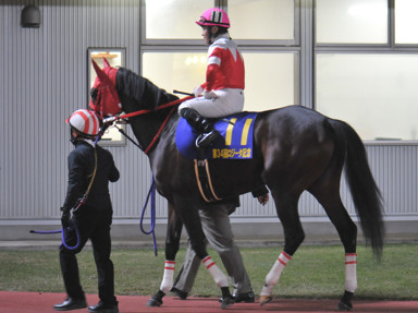 2023/11/08 川崎11R