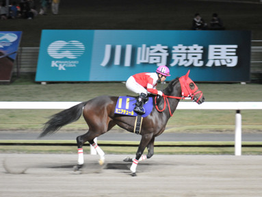 2023/11/08 川崎11R