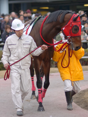 2005/01/26 川崎06R