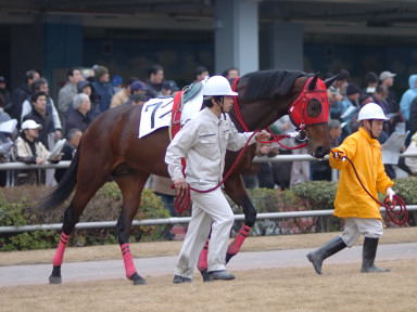 2005/01/26 川崎06R