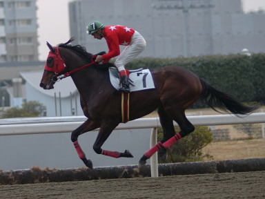 2005/01/26 川崎06R