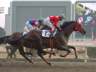 2005/01/26 川崎06R
