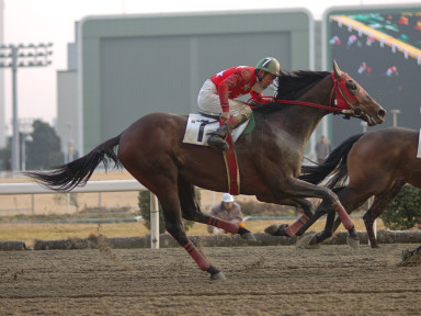 2005/01/26 川崎06R