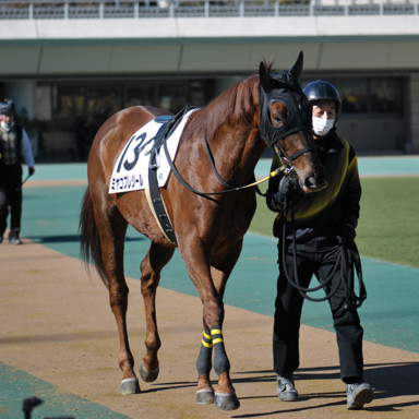 2023/01/29 東京04R