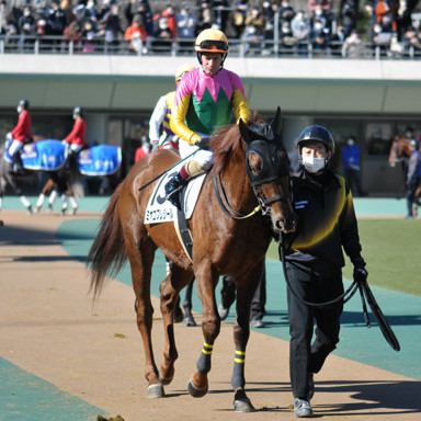 2023/01/29 東京04R