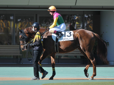 2023/01/29 東京04R
