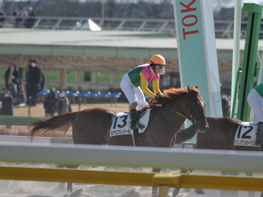 2023/01/29 東京04R